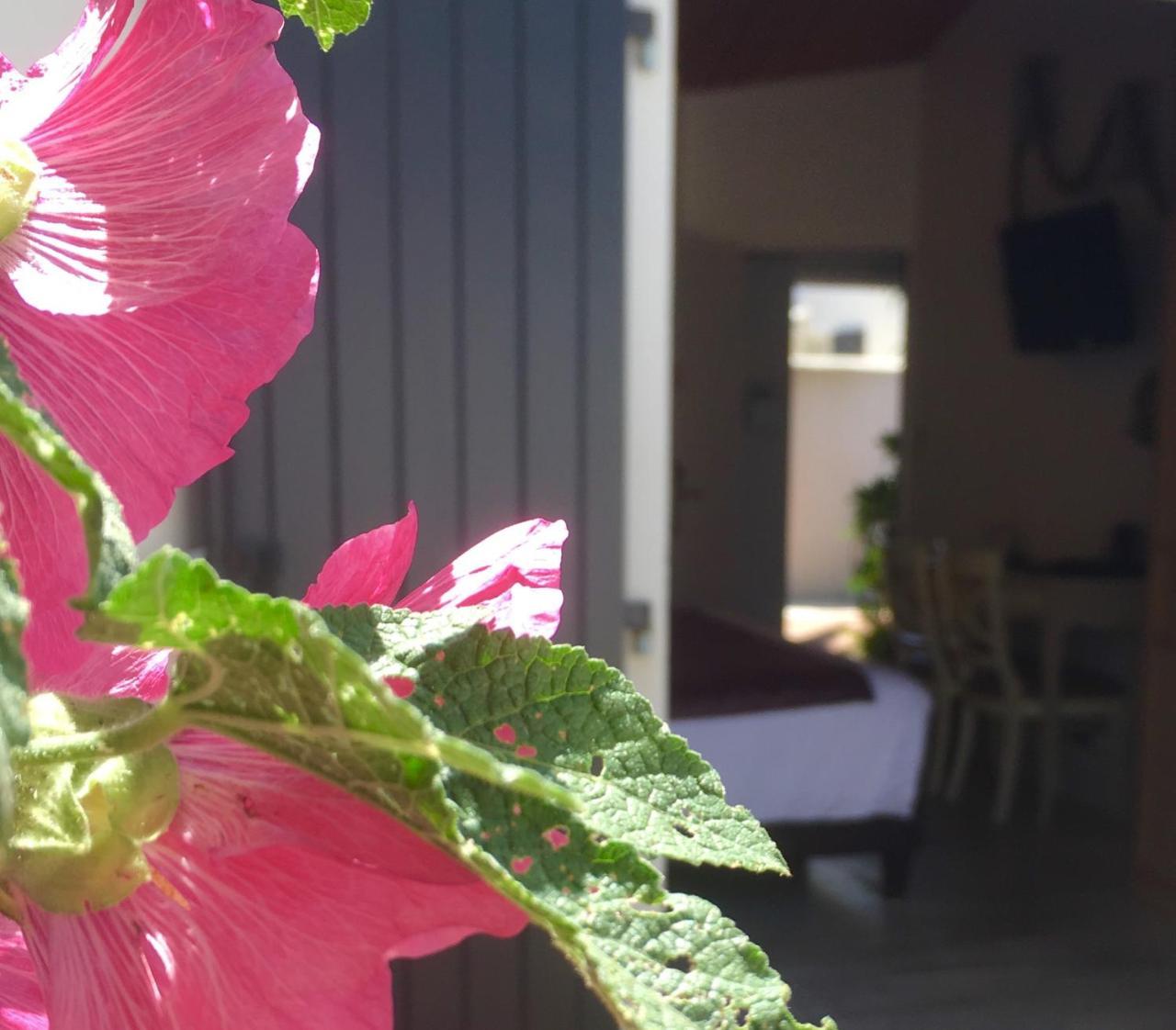 Hotel Restaurant & Spa Plaisir Le Bois-Plage-en-Re Exterior photo